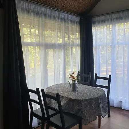 Pucu Maja/owl House Namins *
